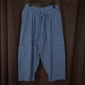 Free People Wide Leg Pants in Dusty Blue